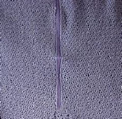 pp5b565733.jpg